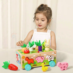 Montessori Carrot Harvest Toy