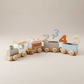 Montessori Wooden Train Set