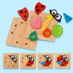 Three-Dimensional Puzzle