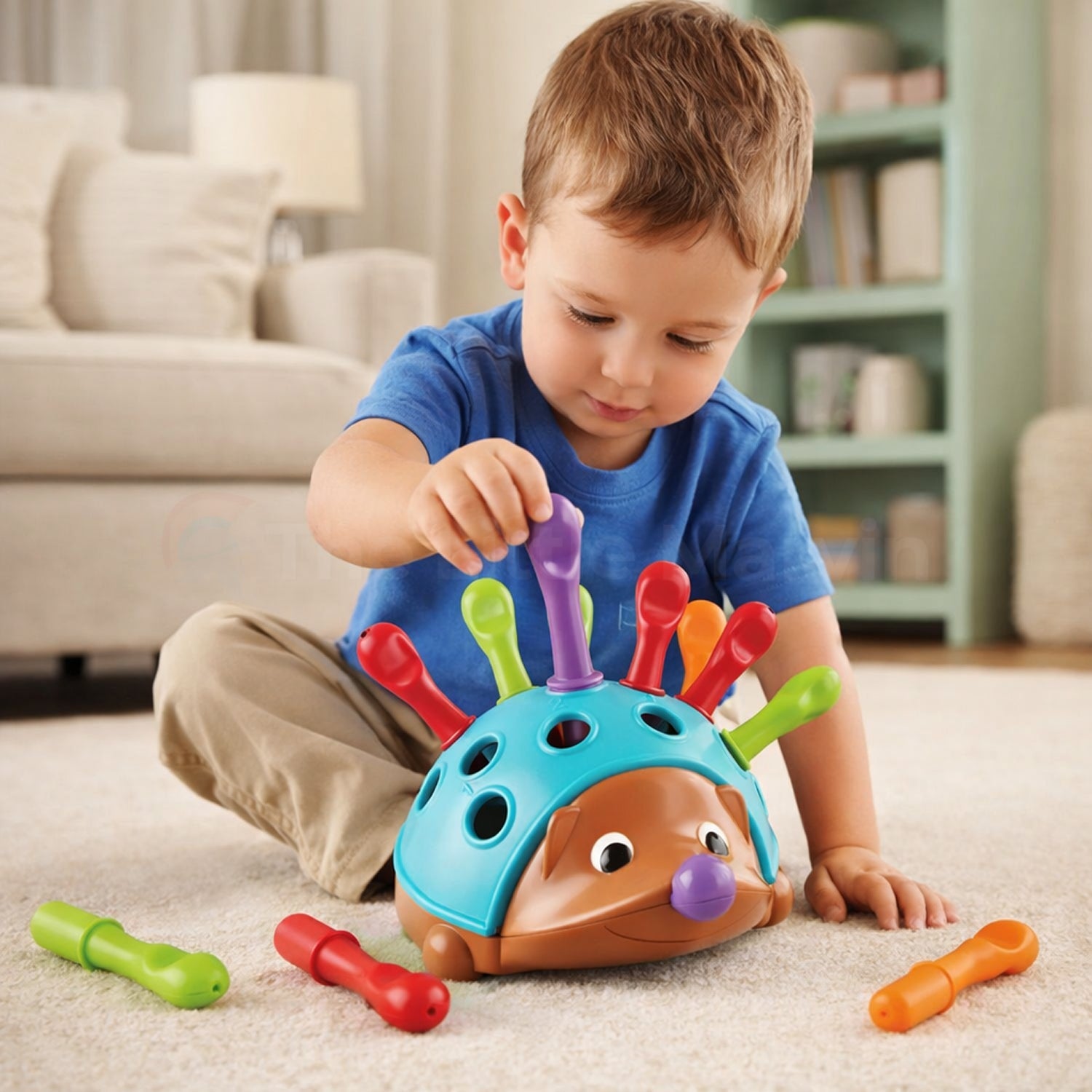 Montessori Hedgehog Learning Toy