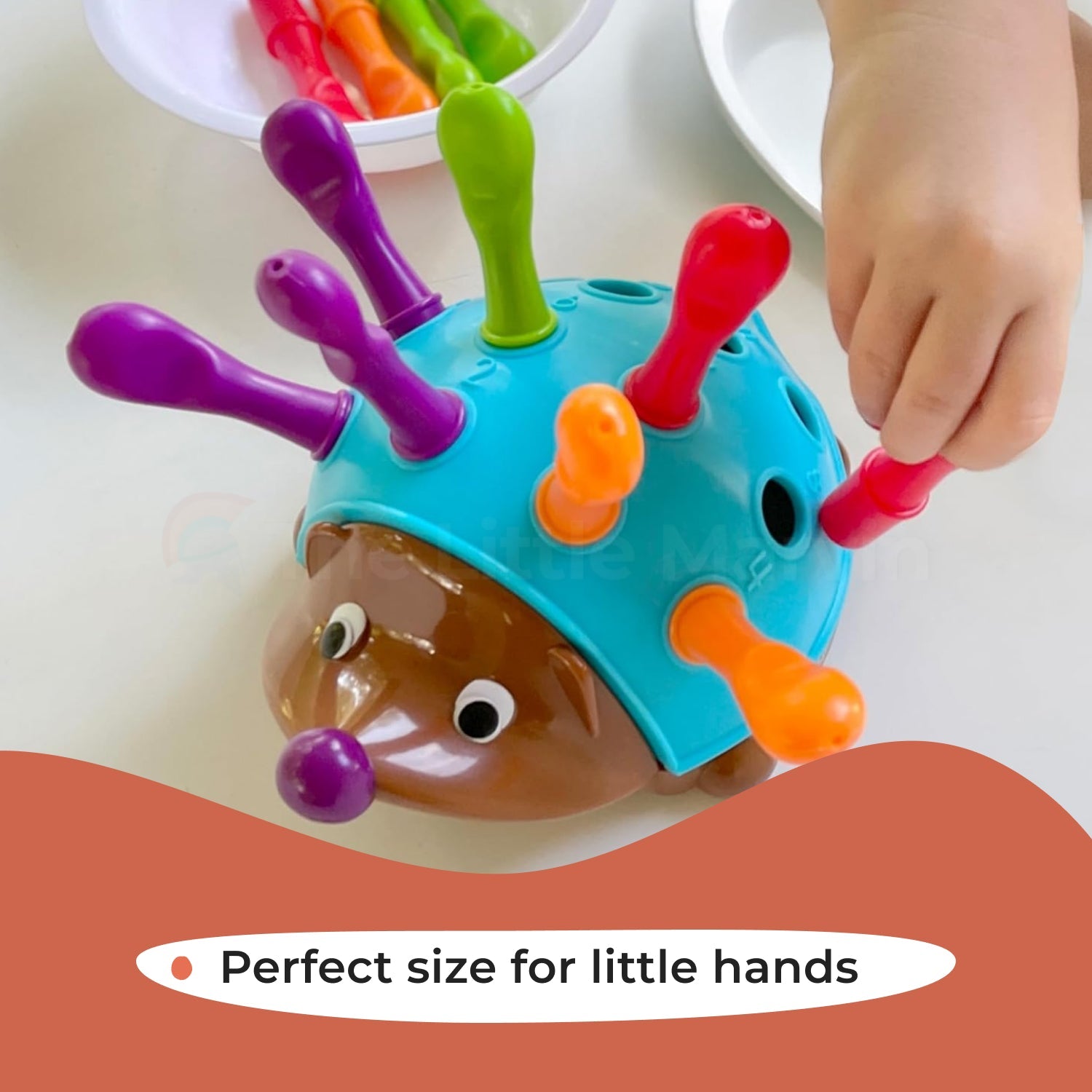 Montessori Hedgehog Learning Toy