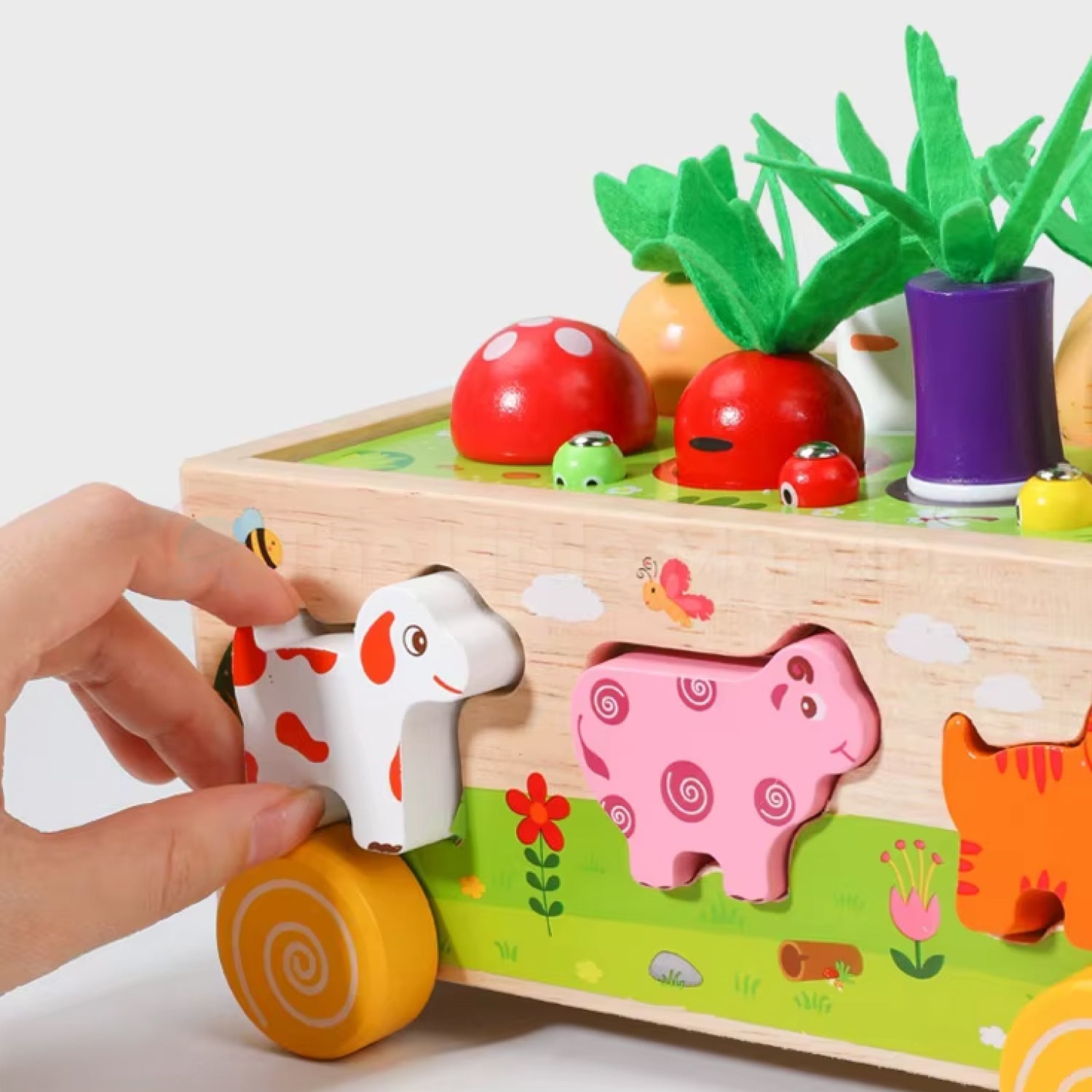 Montessori Carrot Harvest Toy