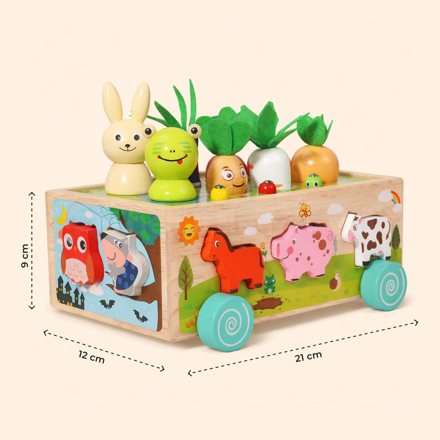 Montessori Carrot Harvest Toy