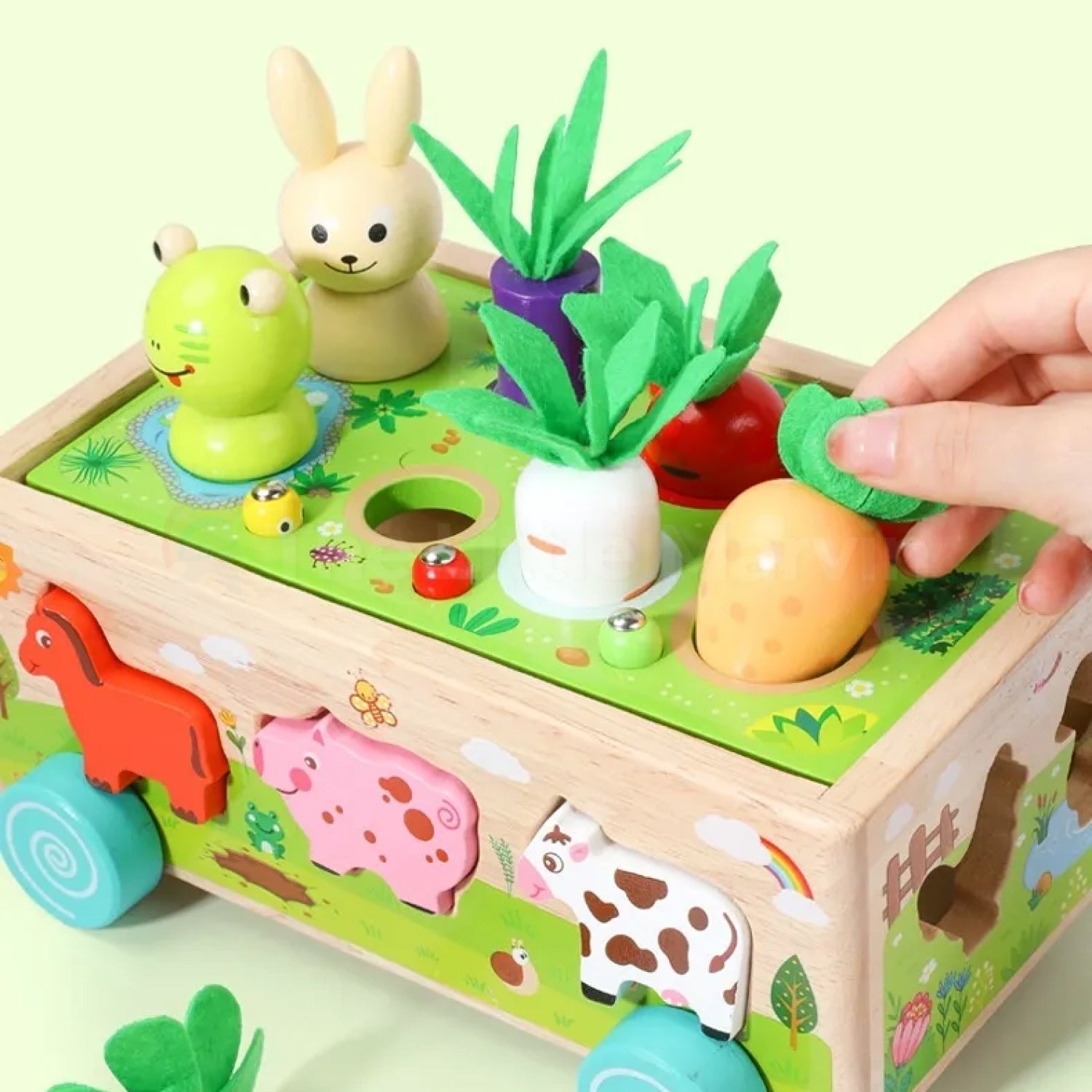 Montessori Carrot Harvest Toy