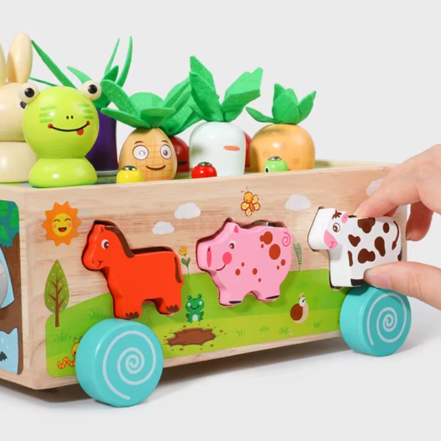 Montessori Carrot Harvest Toy