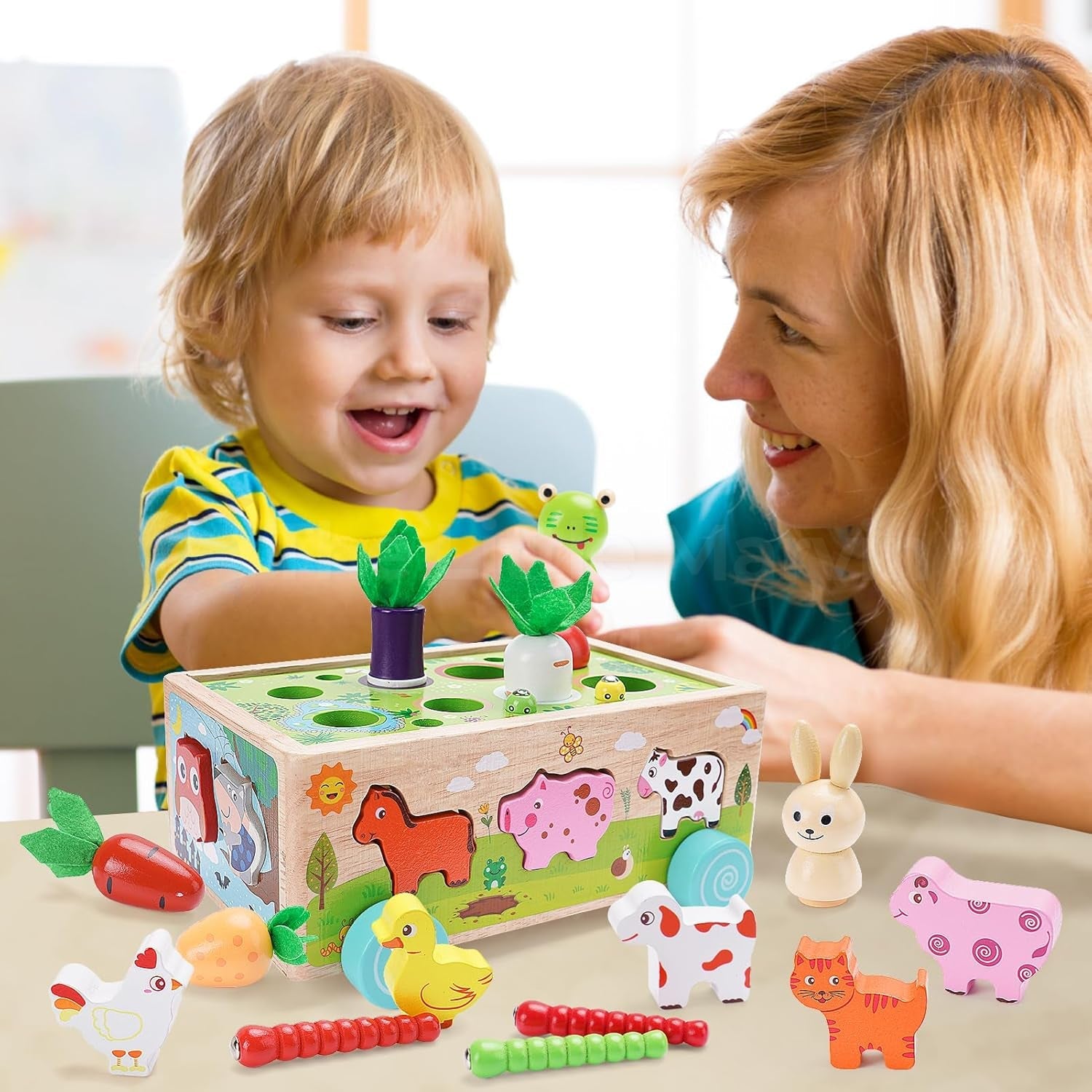 Montessori Carrot Harvest Toy