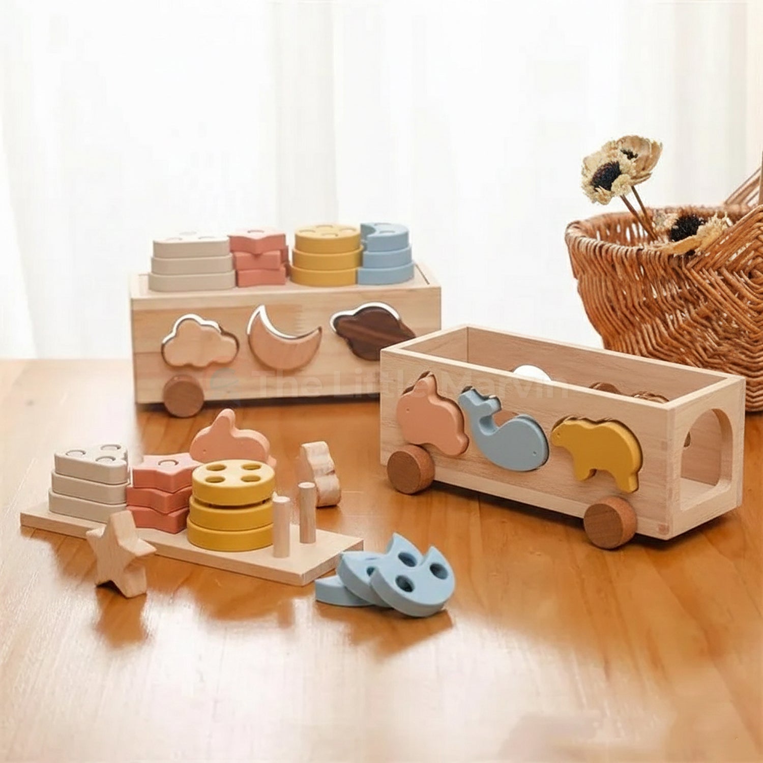 Montessori Shape Sorting Toys