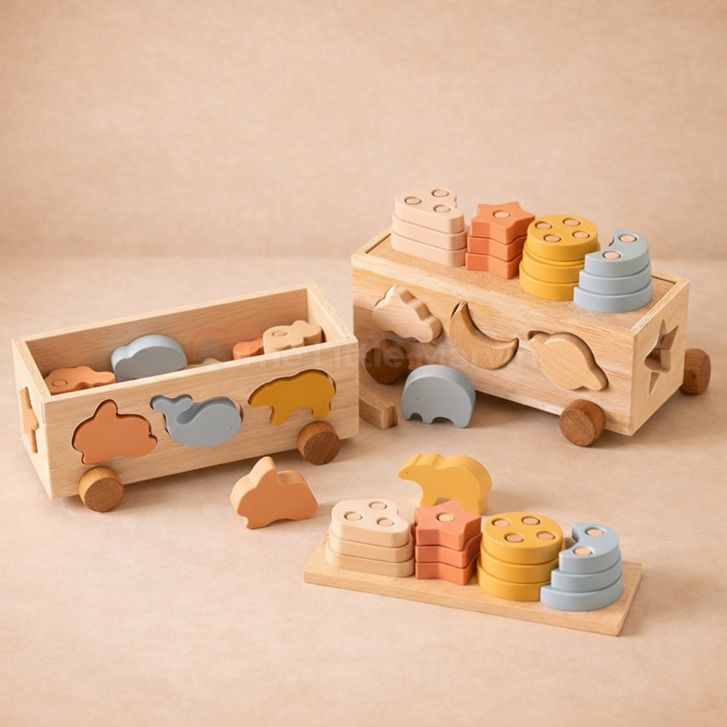 Montessori Shape Sorting Toys