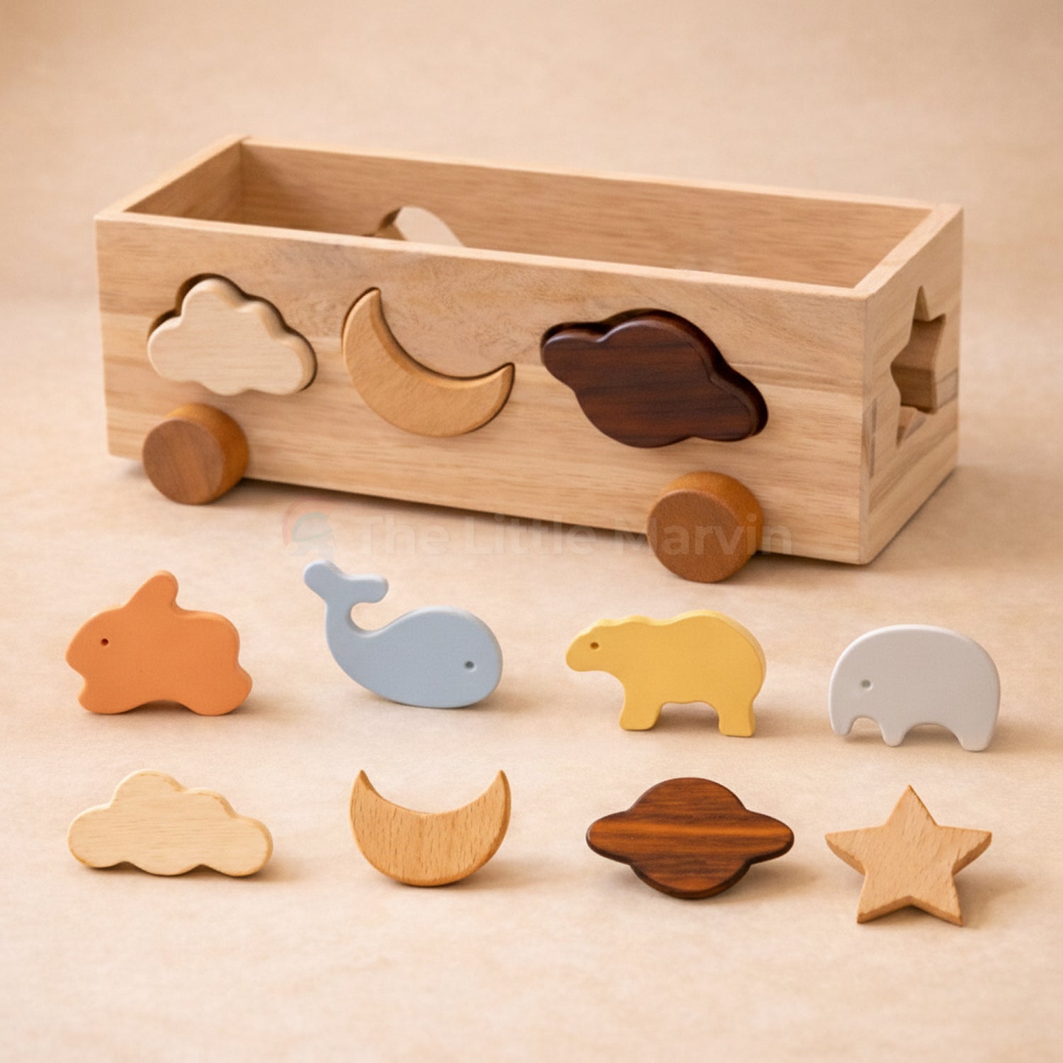 Montessori Shape Sorting Toys