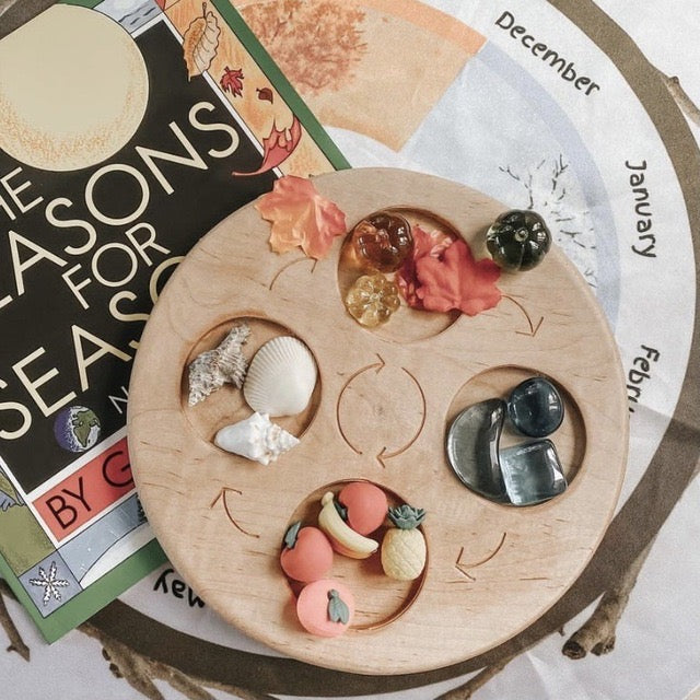Double-Sided Wooden Life Cycle Board
